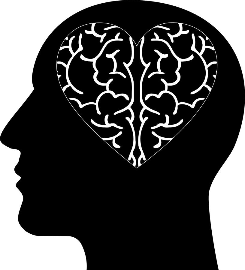 Herz Gehirn Grafik